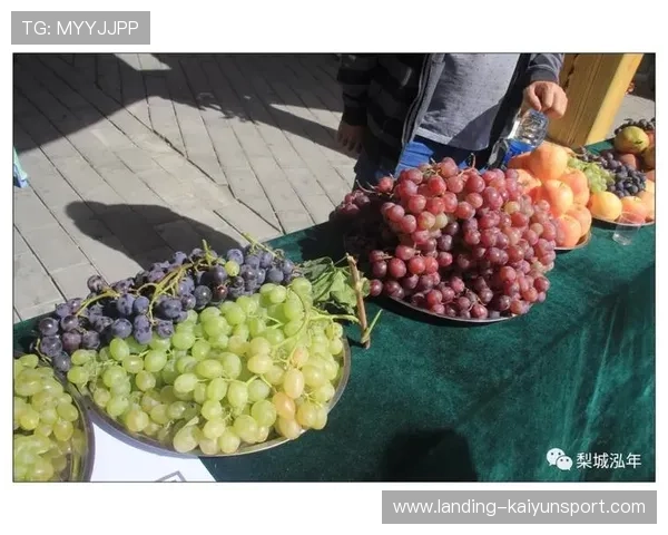 圣西罗若带动城市文旅融合,周边经济将腾飞 圣西罗若带动城市文旅融合,周边经济将腾飞